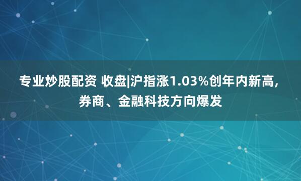专业炒股配资 收盘|沪指涨1.03%创年内新高, 券商、金融科技方向爆发