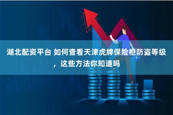 湖北配资平台 如何查看天津虎牌保险柜防盗等级，这些方法你知道吗
