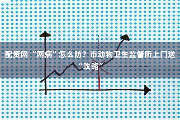 配资网 “两病”怎么防？市动物卫生监督所上门送“攻略”